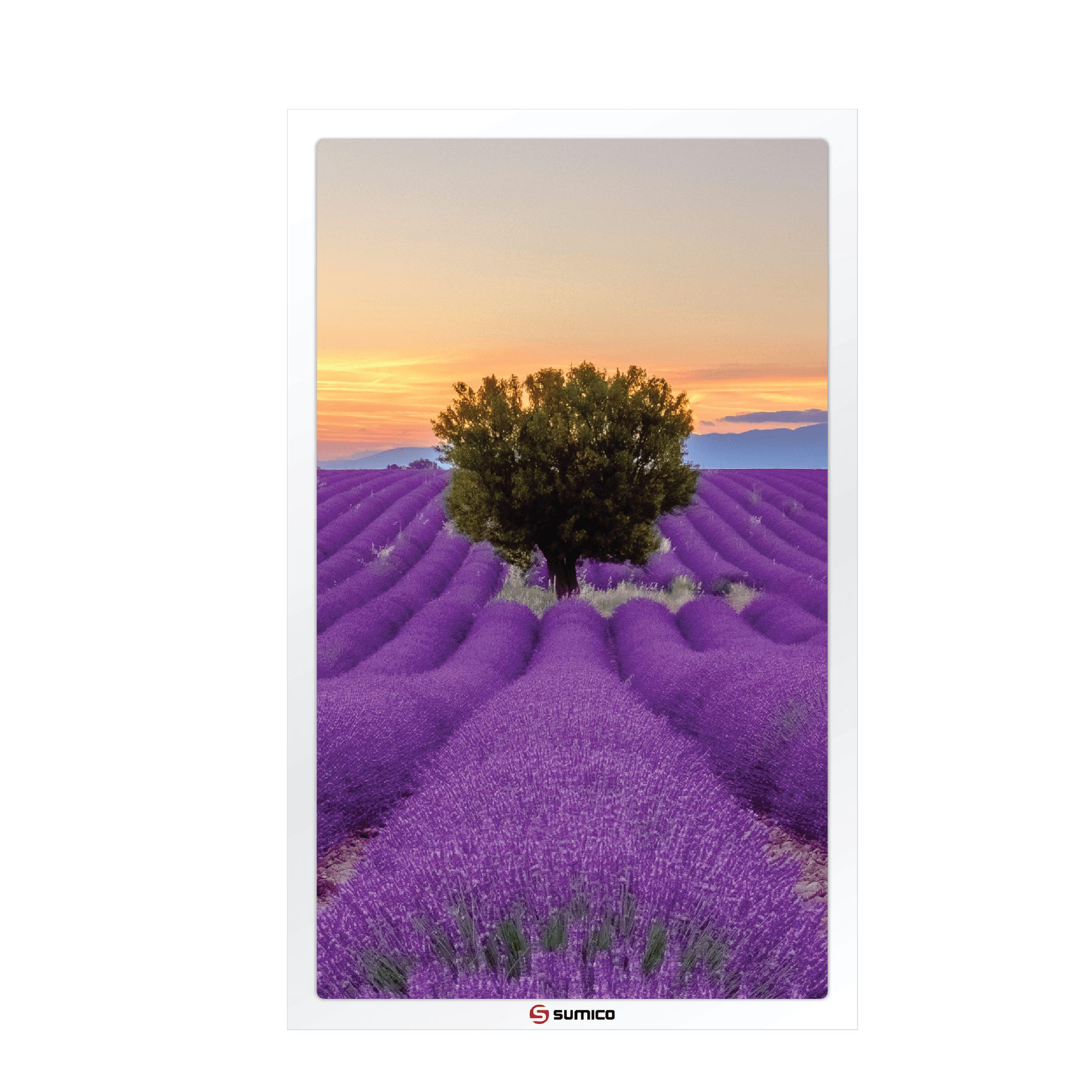 Loa Sumico Canvas 1008: Khi Loa Là Một Bức Tranh