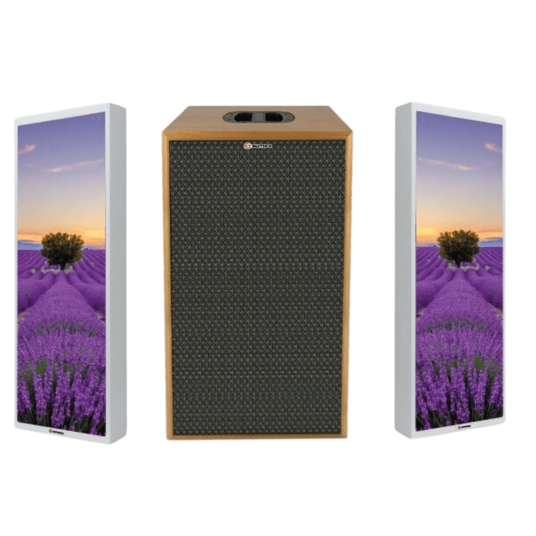 Loa Sumico Canvas 1216: Một Chiếc Tranh Đẹp